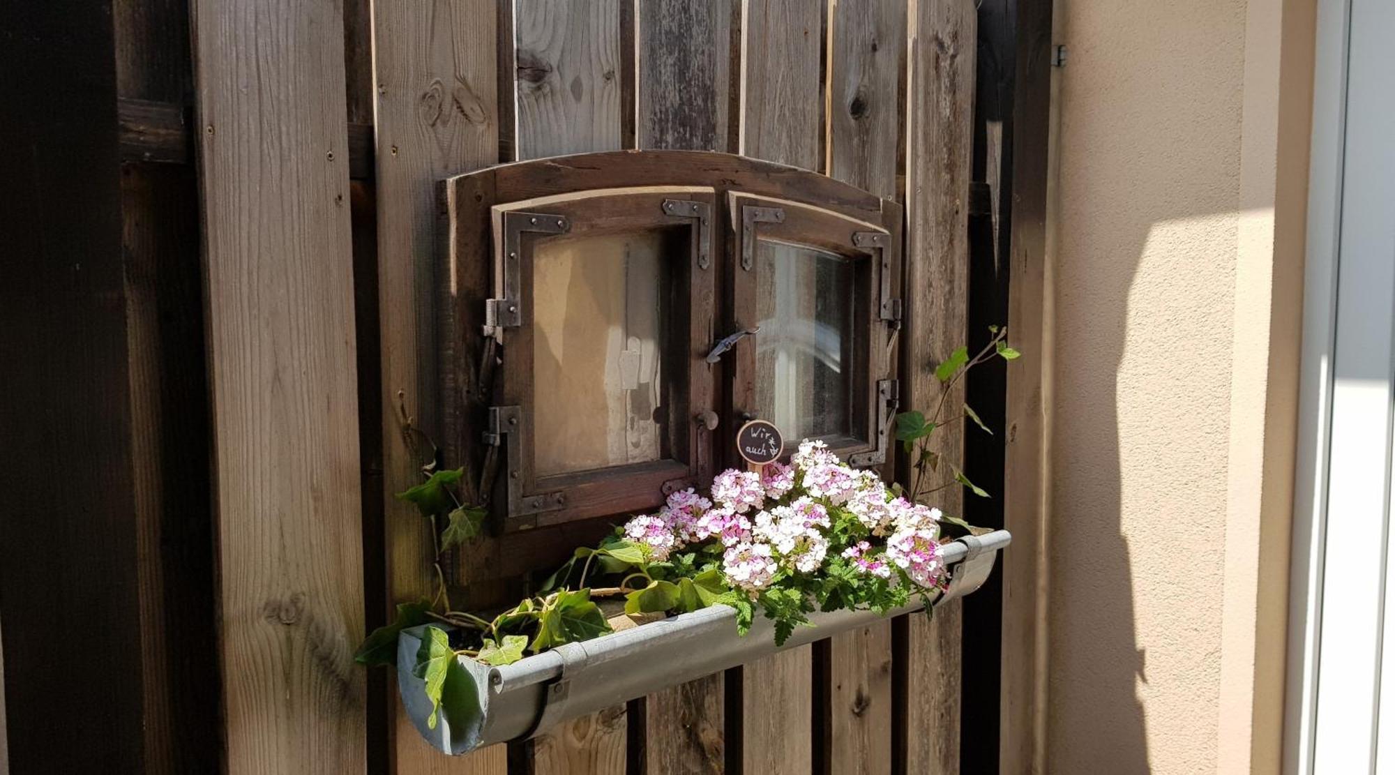 _ Haus Lisa_ Senftenberg